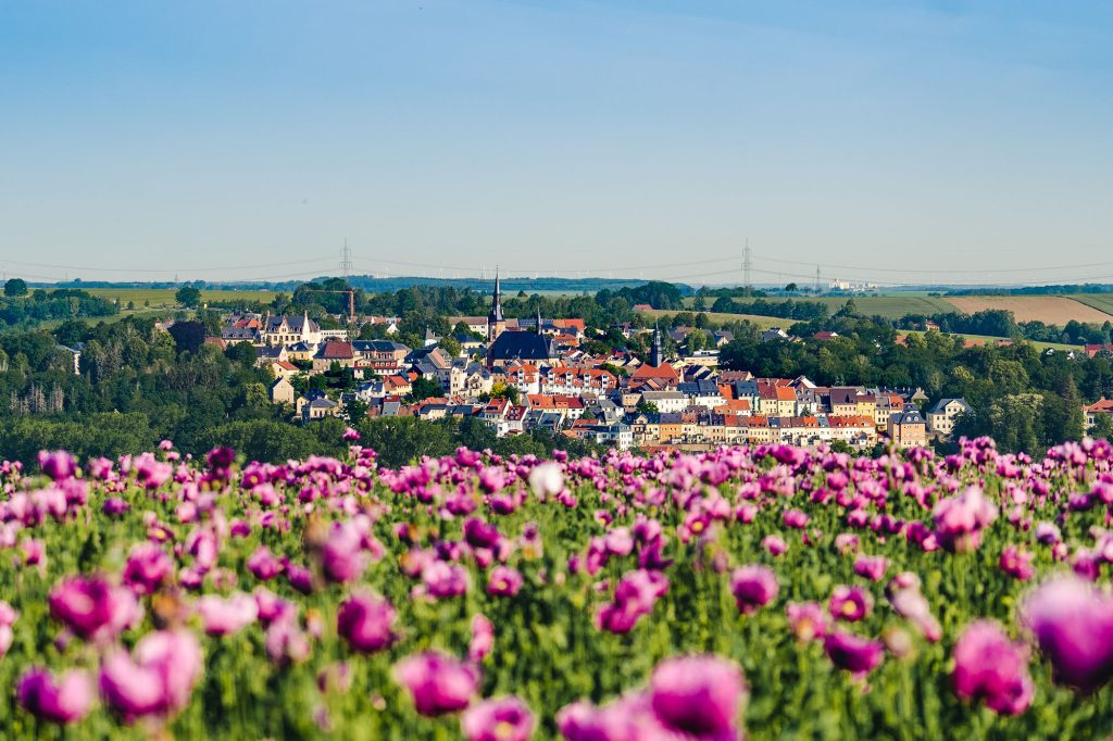 Motiv Mohnblumen über Waldenburg. Fotografiert von Oliver Göhler.